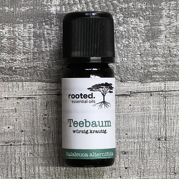 Die stillen Begleiter meiner Arbeit – die Arbeitsmittel und Ausstattung meiner mobilen Massagen Die stillen Begleiter meiner Arbeit – die Arbeitsmittel und Ausstattung meiner mobilen Massagen